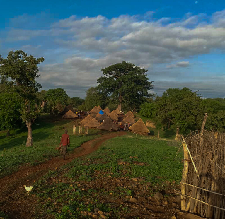 pays_bassari_1